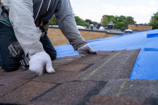 Quick and Trustworthy Emergency Roof Repair Services in Romney, WV