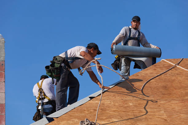 Best Commercial Roofing Services  in Romney, WV