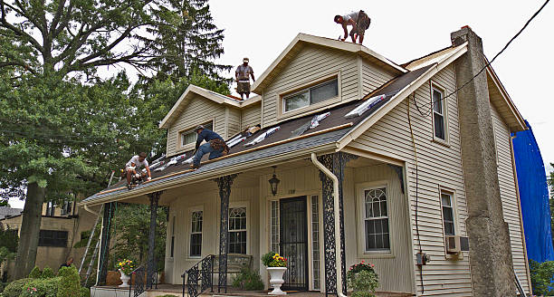 Best Local Roofing Companies  in Romney, WV