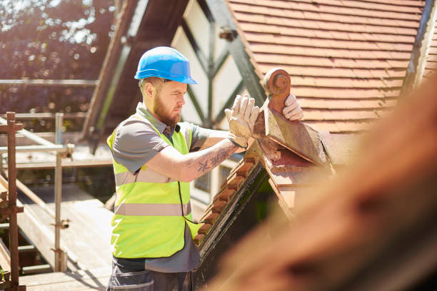 Best Residential Roofing Contractor  in Romney, WV