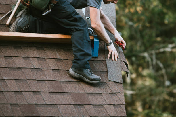 Best Emergency Roof Repair  in Romney, WV